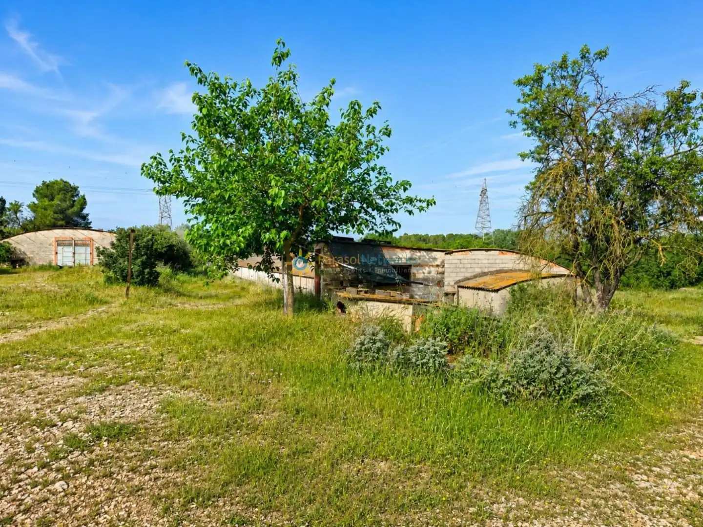 Rural land for sale in Benigànim, imagen 9