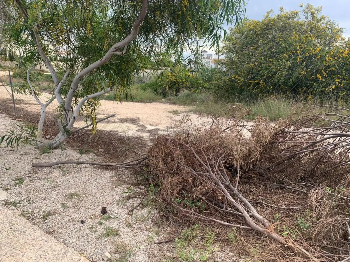 Terreno rustico in vendita a Avenida Galgos 50, imagen 9