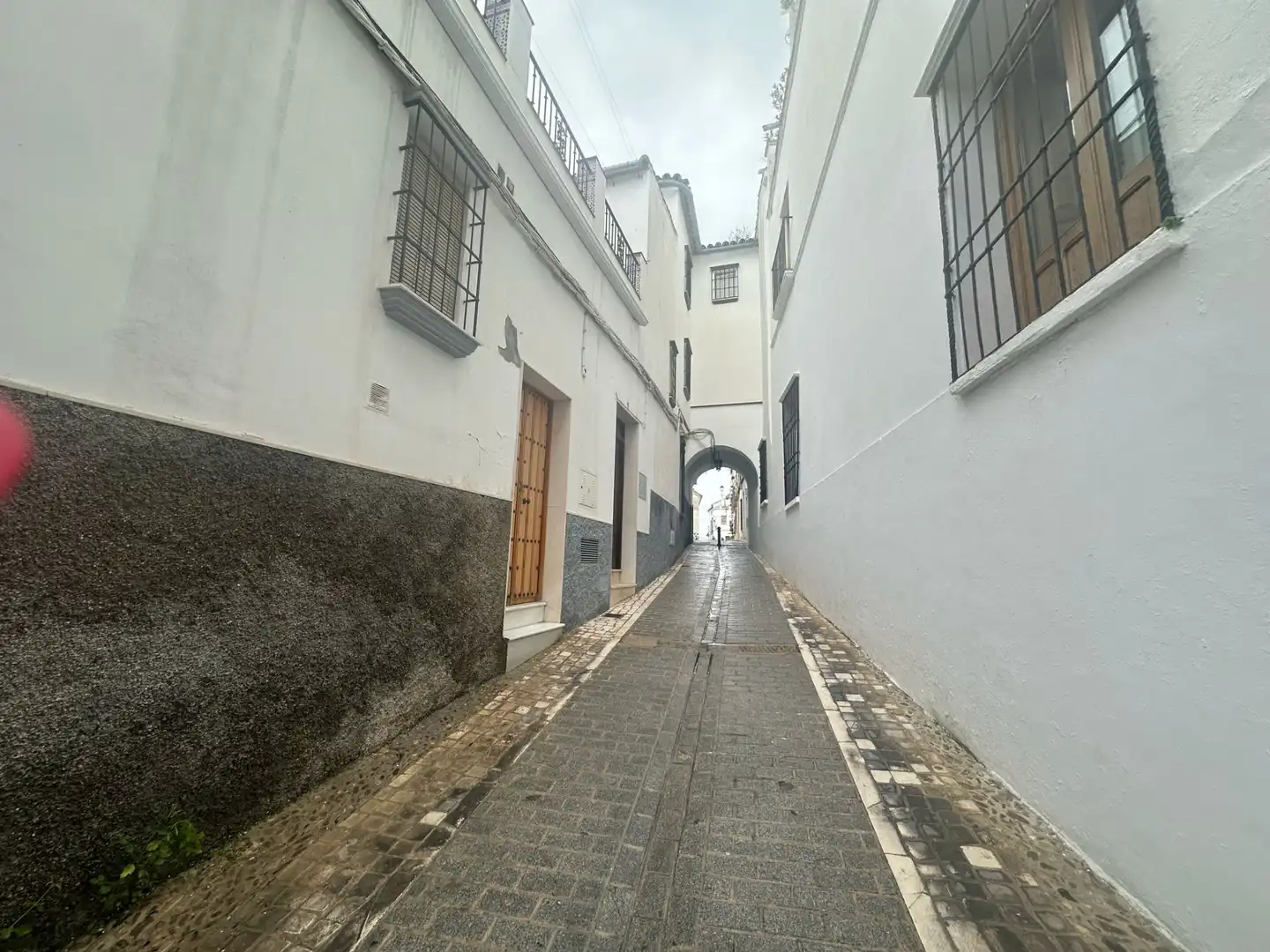 Exterior view of Detached homes for sale in Castro del Río  with Furnished