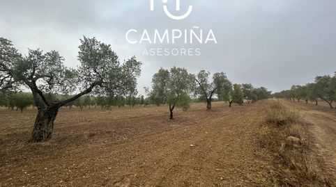 Foto 3 de Terreno en venta en Calle Cabezo de Los Prados, Beas, Huelva