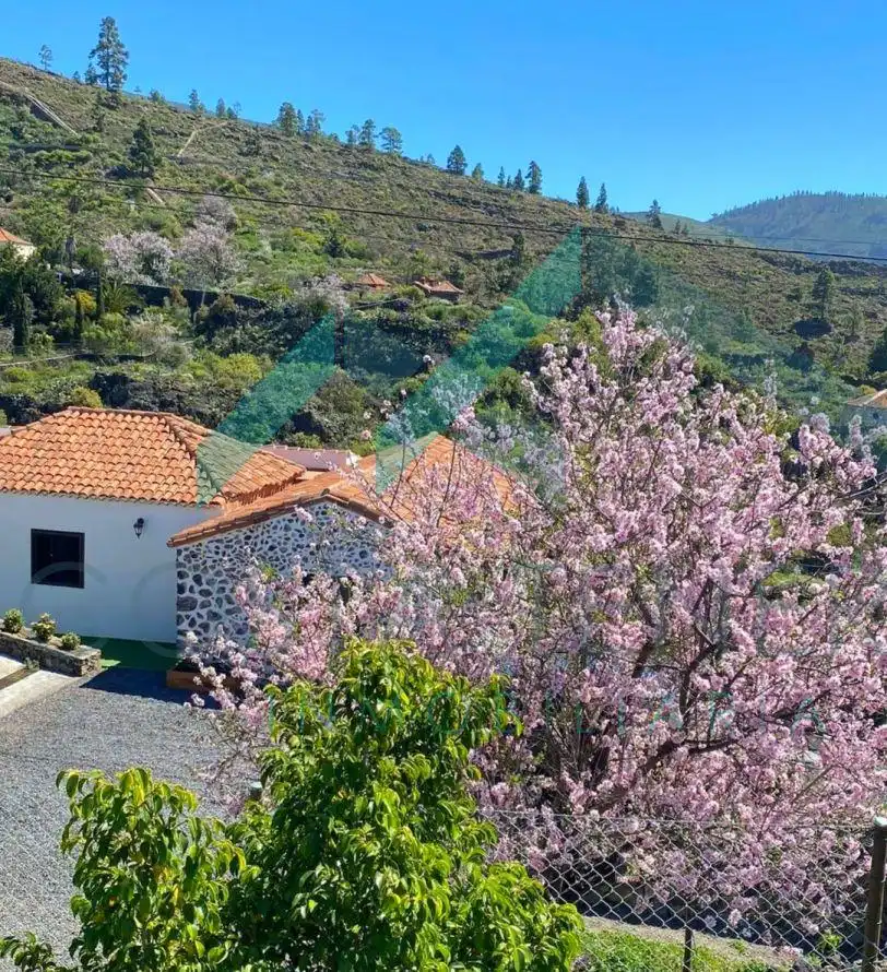 Vista exterior de Finca rústica en venda en Guía de Isora amb Jardí privat i Moblat