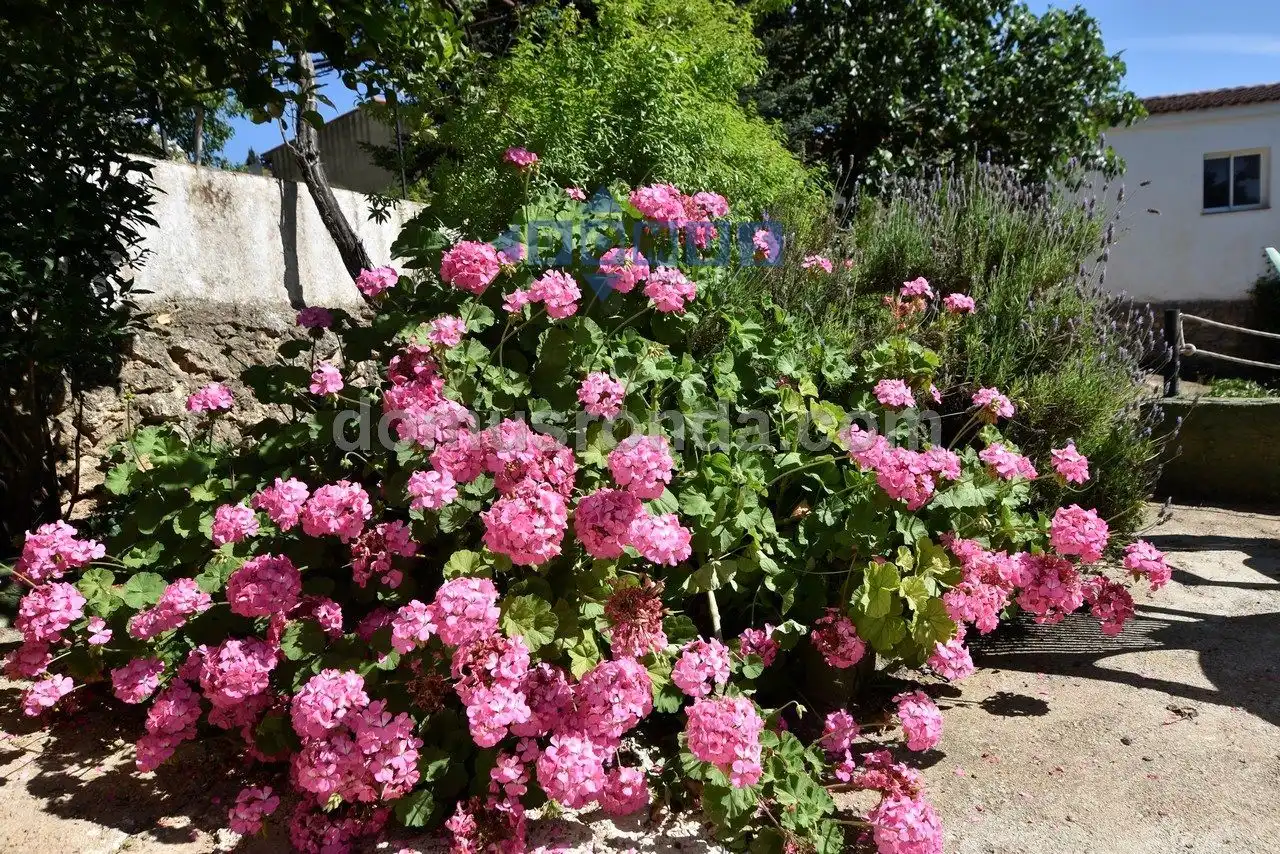Jardín de Finca rústica de alquiler en Ronda con Aire acondicionado, Calefacción y Trastero