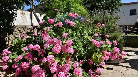 Photo 5 of Country homes for rent in Partidas Norte, Ronda