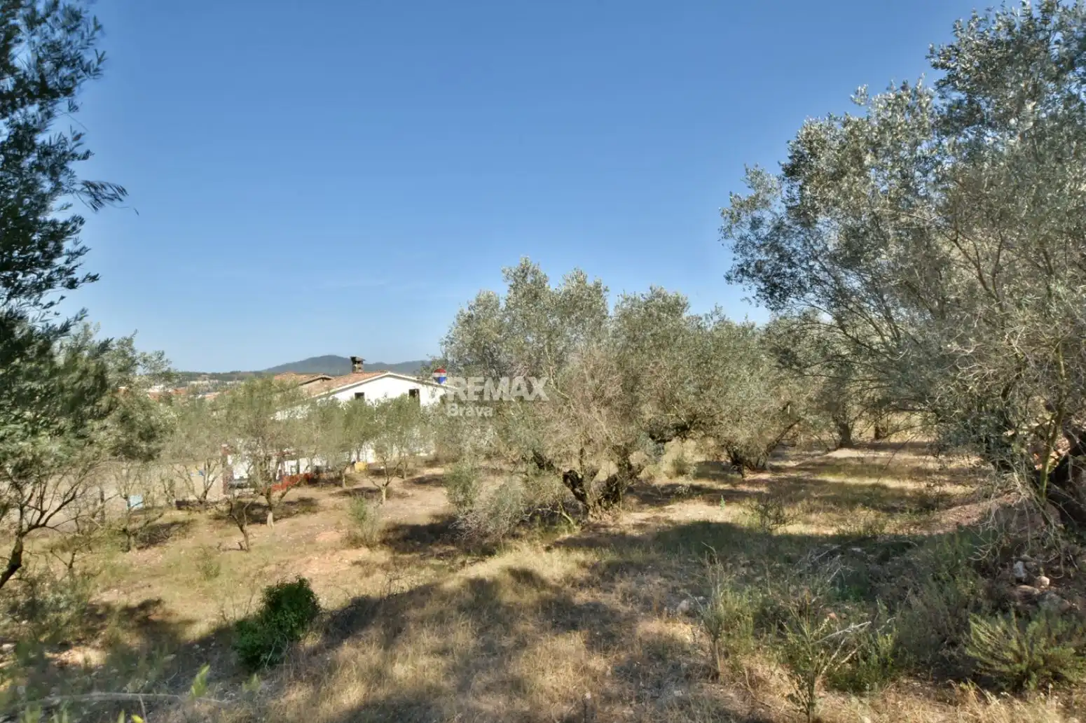 Finca rústica en venda en Sant Andreu de la Barca amb Jardí privat