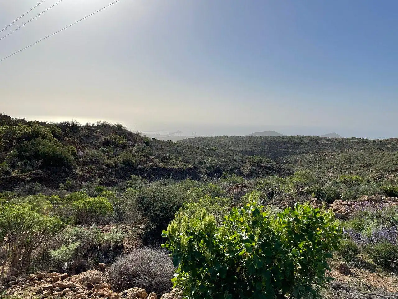 Terreny en venda en Granadilla de Abona