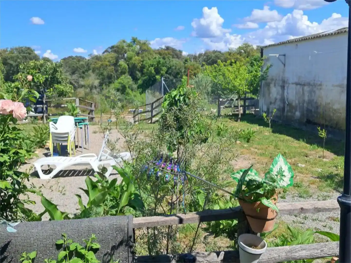 Jardí de Pis en venda en Navalmoral de la Mata amb Aire condicionat, Jardí privat i Traster