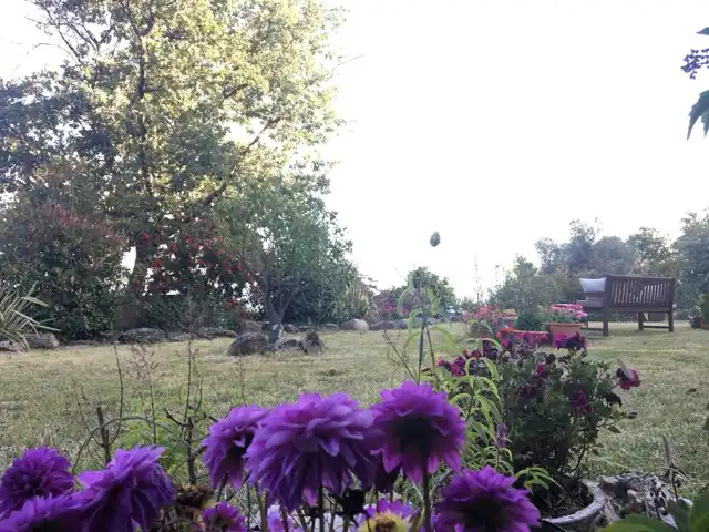 Garten von Gebäude zum Verkauf in Villamiel