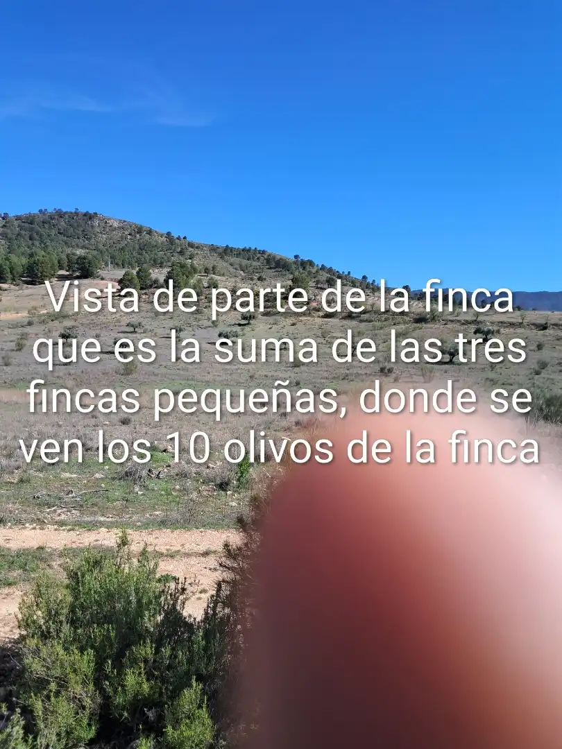 Terreno en venta en Yeste