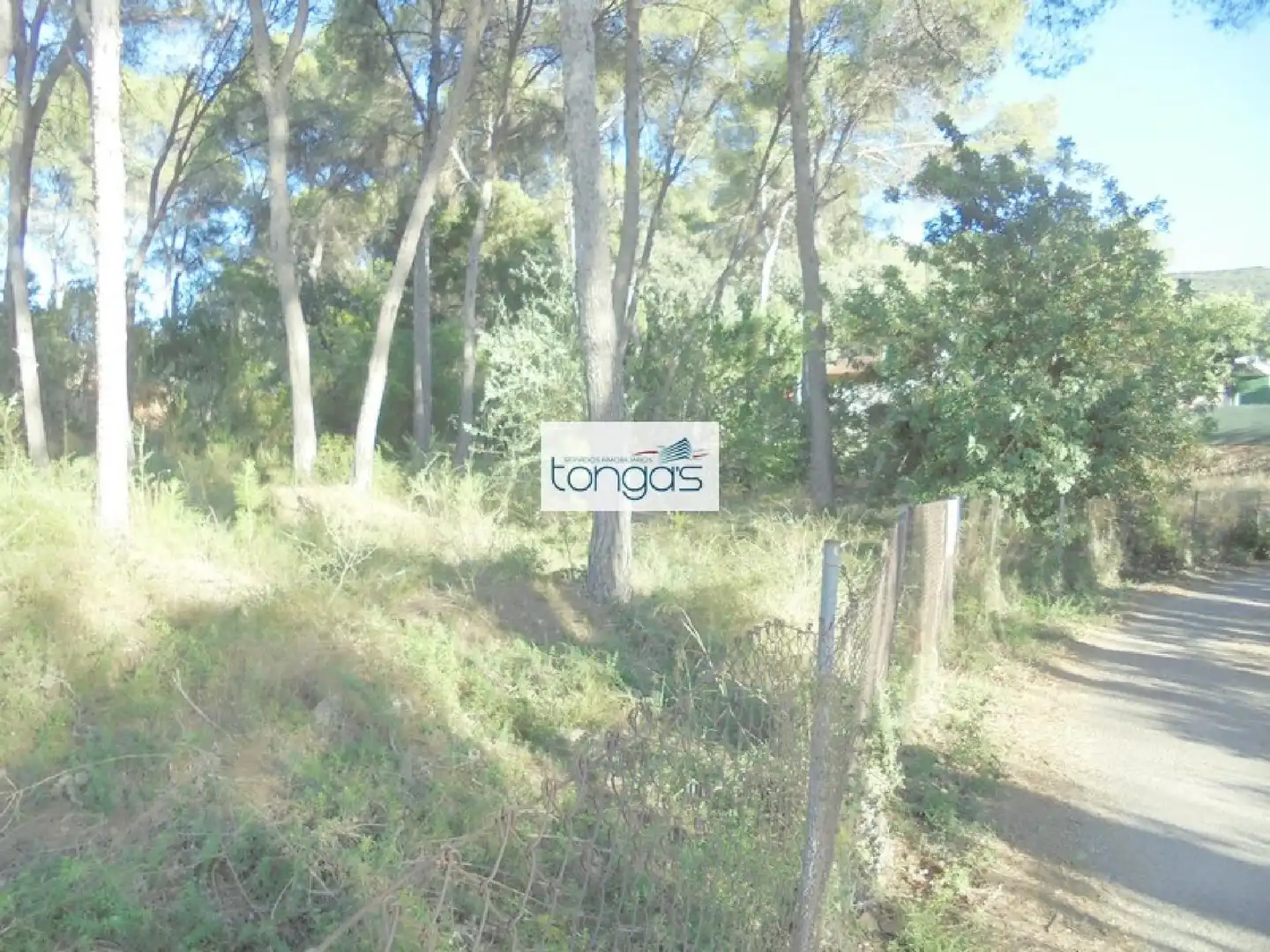 Terreno residencial en venta en El Genovés, imagen 14