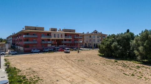 Foto 2 de Terreno industrial en venta en Sa Pobla, Illes Balears