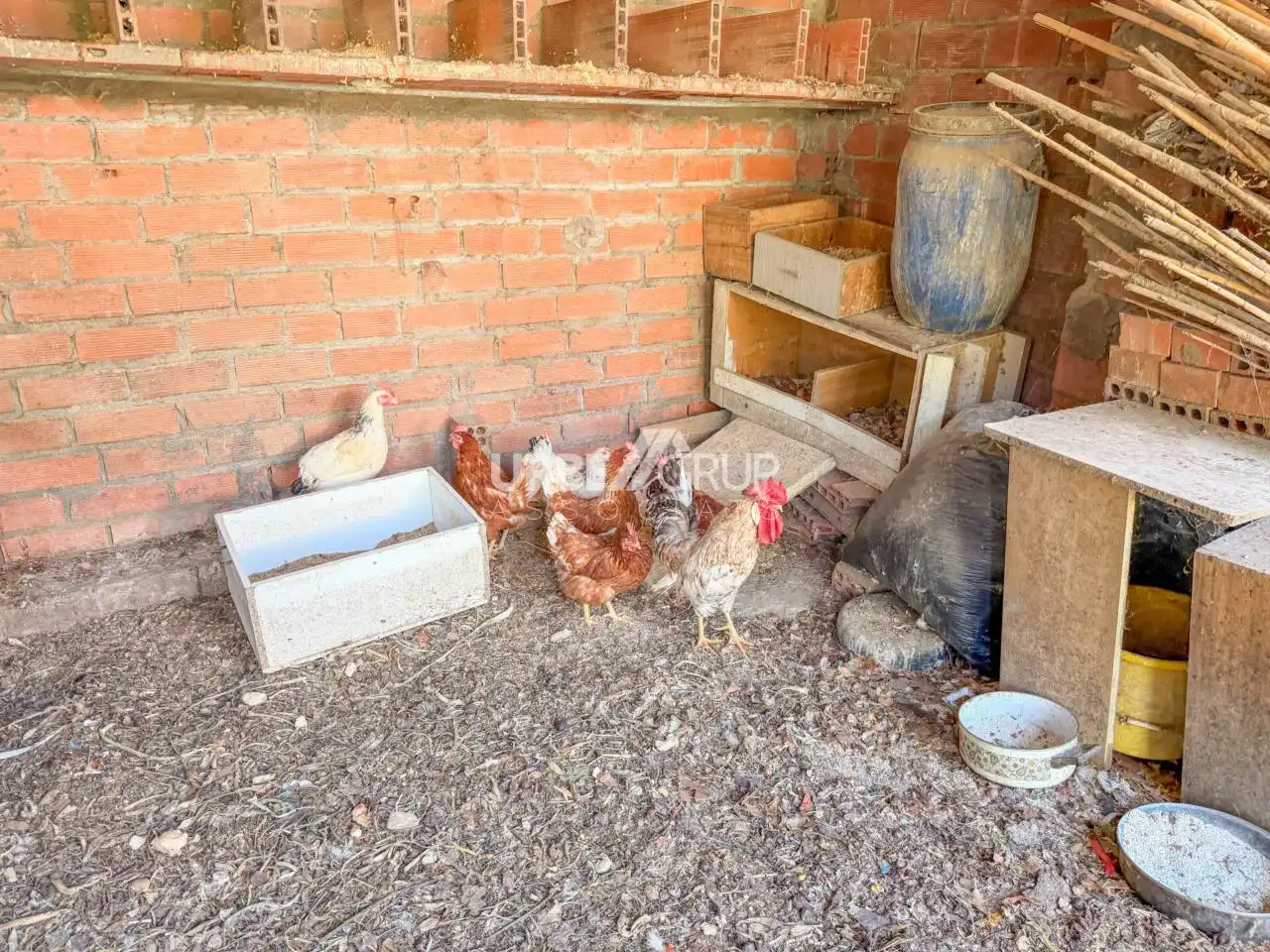 Garden of Houses for sale in Terrassa  with Heating and Private garden