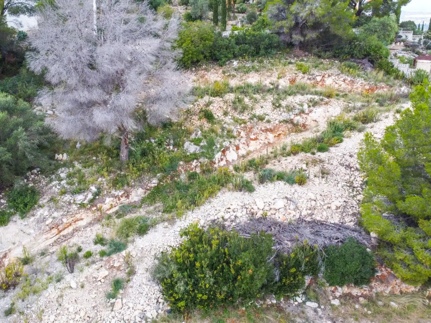 Detached house with pool for sale in Centro, imagen 8