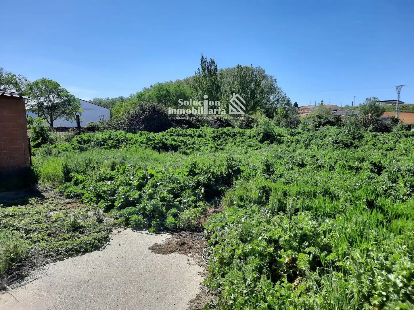 Land for sale in C/ Del cementerio s/n, Cañizal