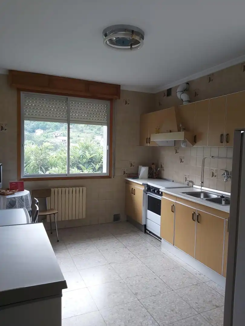 Kitchen of Houses for sale in Ourense Capital 