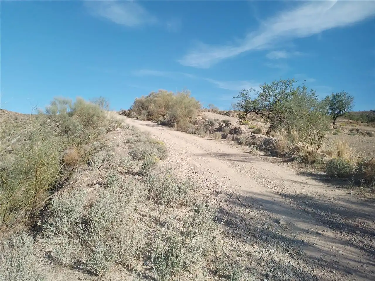 Terreny residencial en venda a Paraje Arroyo Del Aceituno, imagen 15
