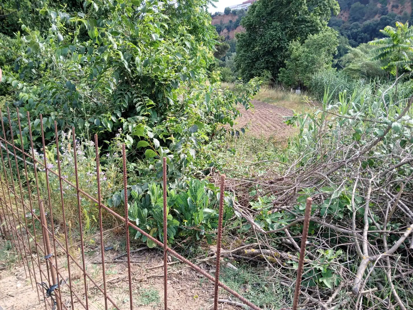 Terreno en venta en Castellar del Vallès