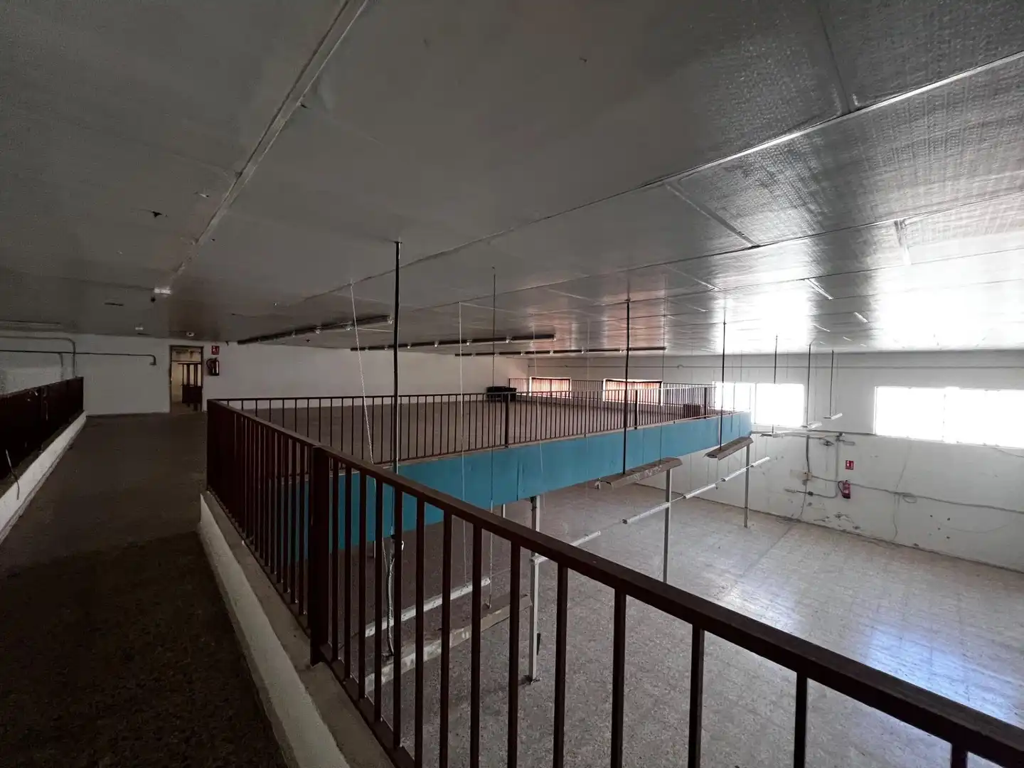 Swimming pool of Industrial buildings for rent in Albatera