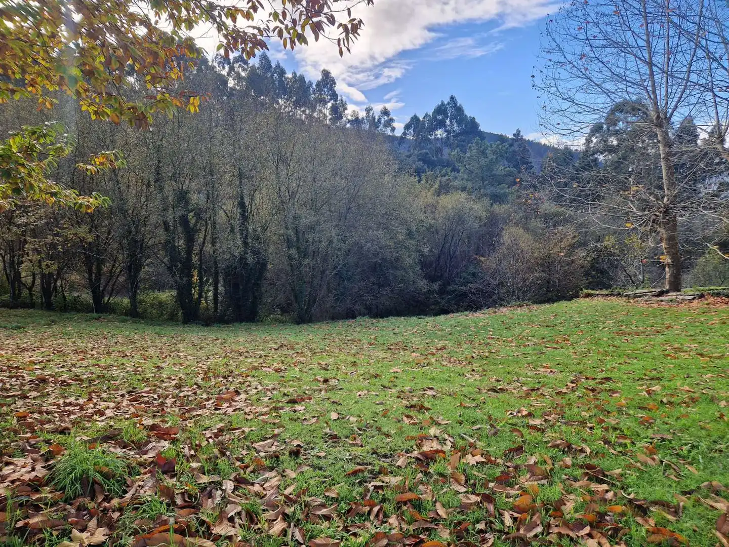 Grundstücke und Bauplätze zum Verkauf in Padrón, imagen 4