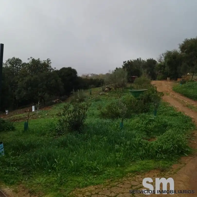 Terreni e lotti in vendita a Benaocaz, imagen 17
