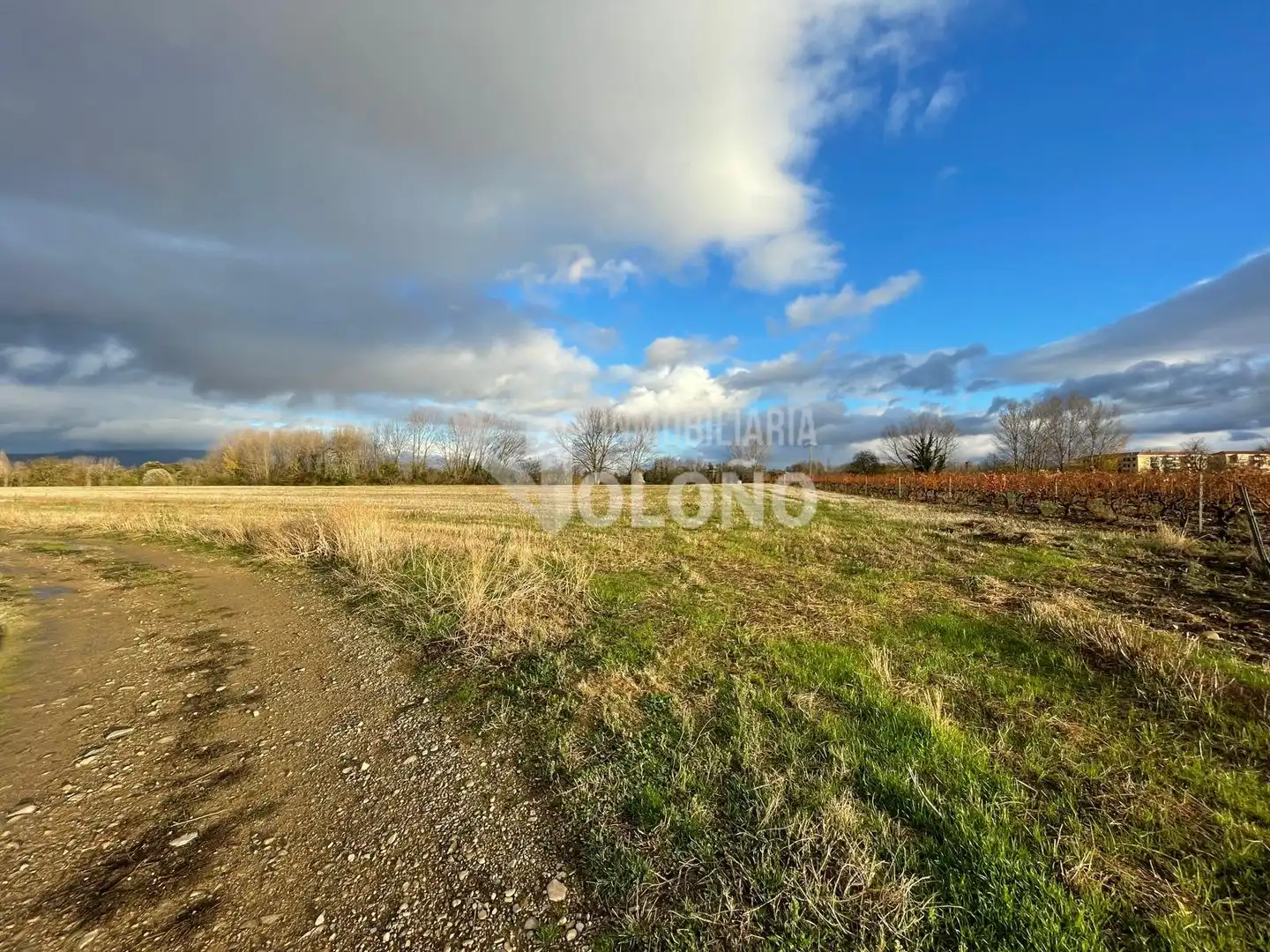 Lands and plots for sale in Casalarreina, imagen 4