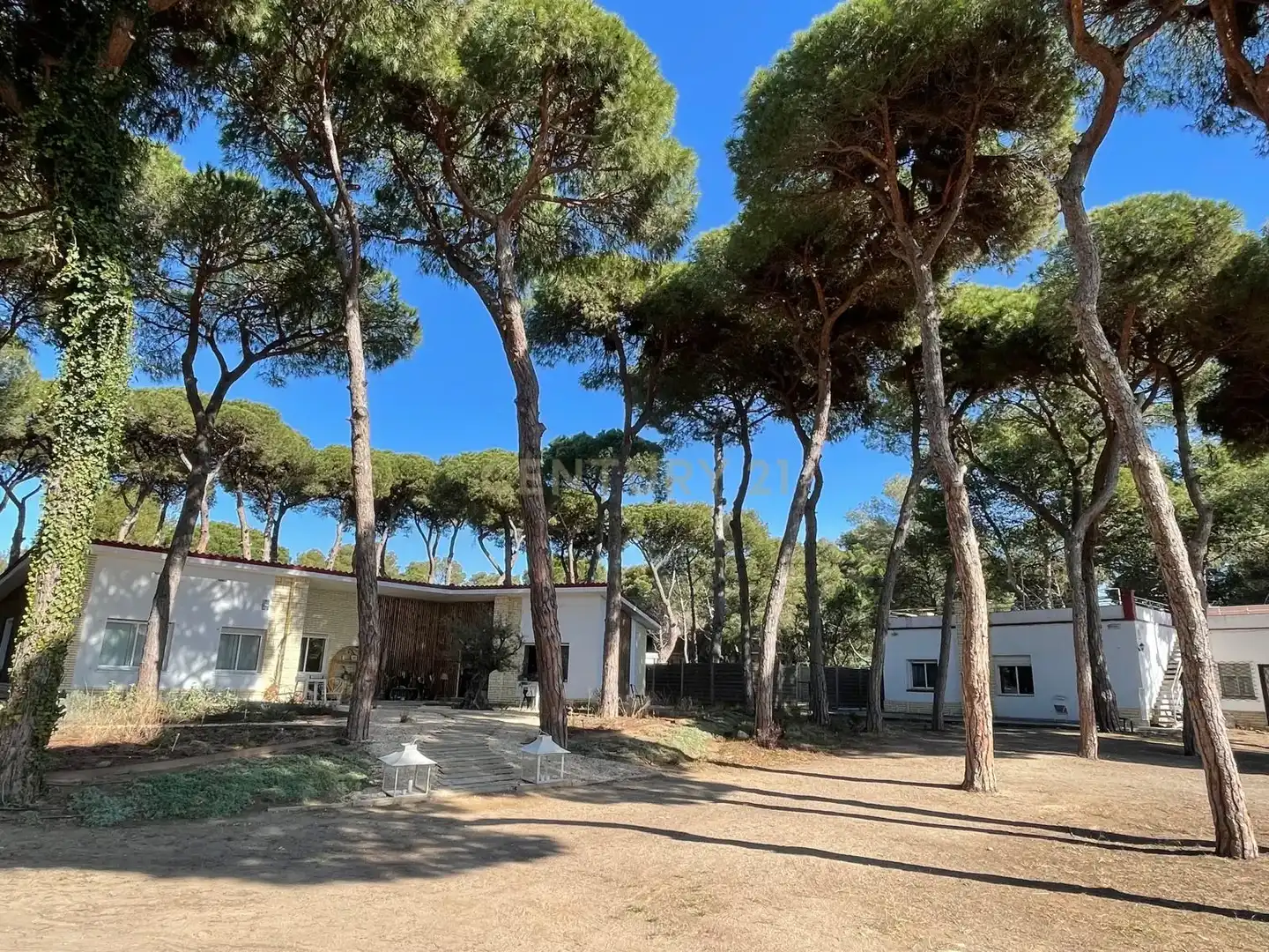 Vista exterior de Casa o chalet en venta en Gavà con Jardín privado, Piscina y Piscina comunitaria