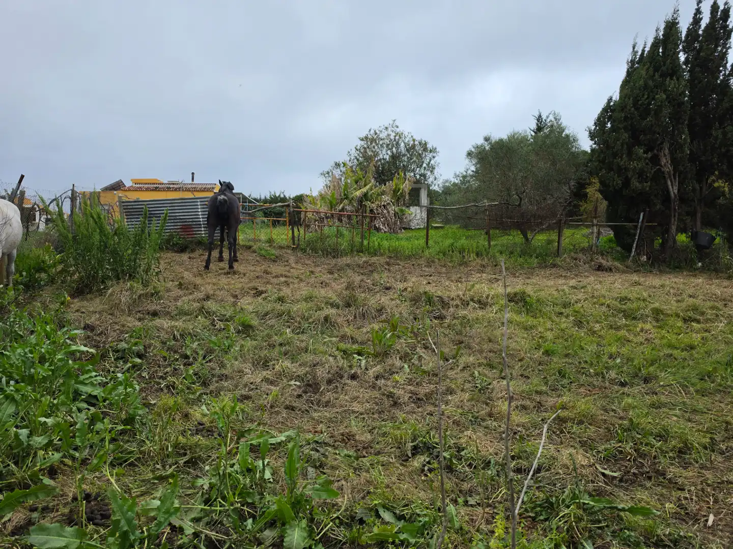 Terreni e lotti in vendita a La Granja - La Colina - Los Pastores, imagen 20