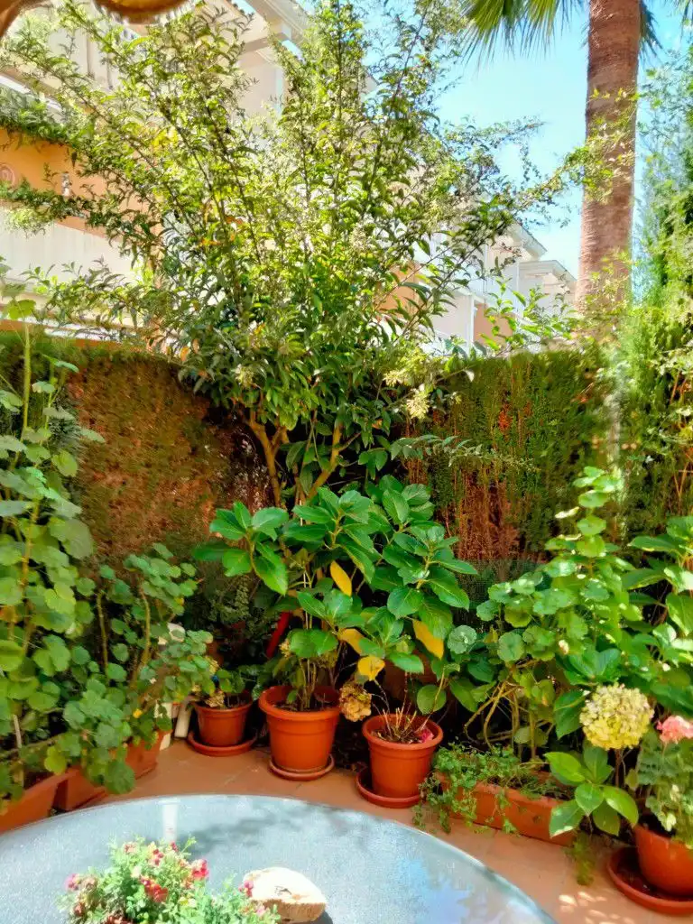 Jardín de Casa adosada en venta en Islantilla con Piscina comunitaria