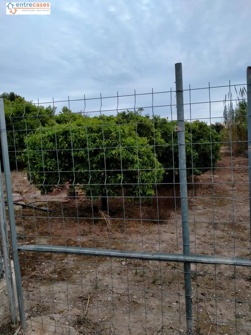 Rural land for sale in Petrés, imagen 3