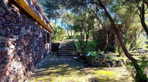 Foto 4 de Finca rústica en venta en El Tanque, Santa Cruz de Tenerife