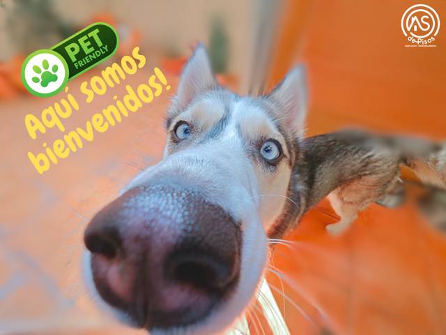 Piso en Alquiler en Calle de Coimbra, 4 en Paseo Independencia