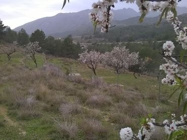 Wohnbaugrundstück zum Verkauf in Benissa pueblo
