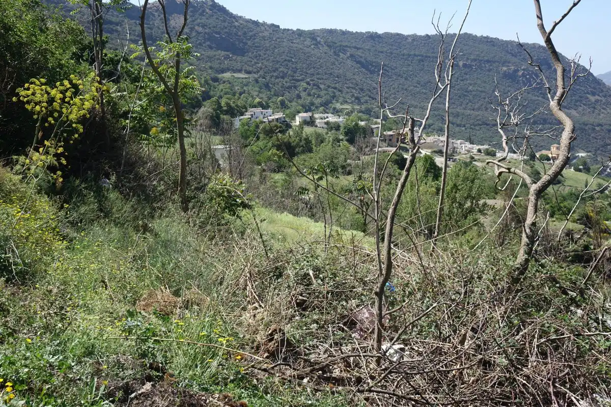 Finca rústica en venta en Capileira