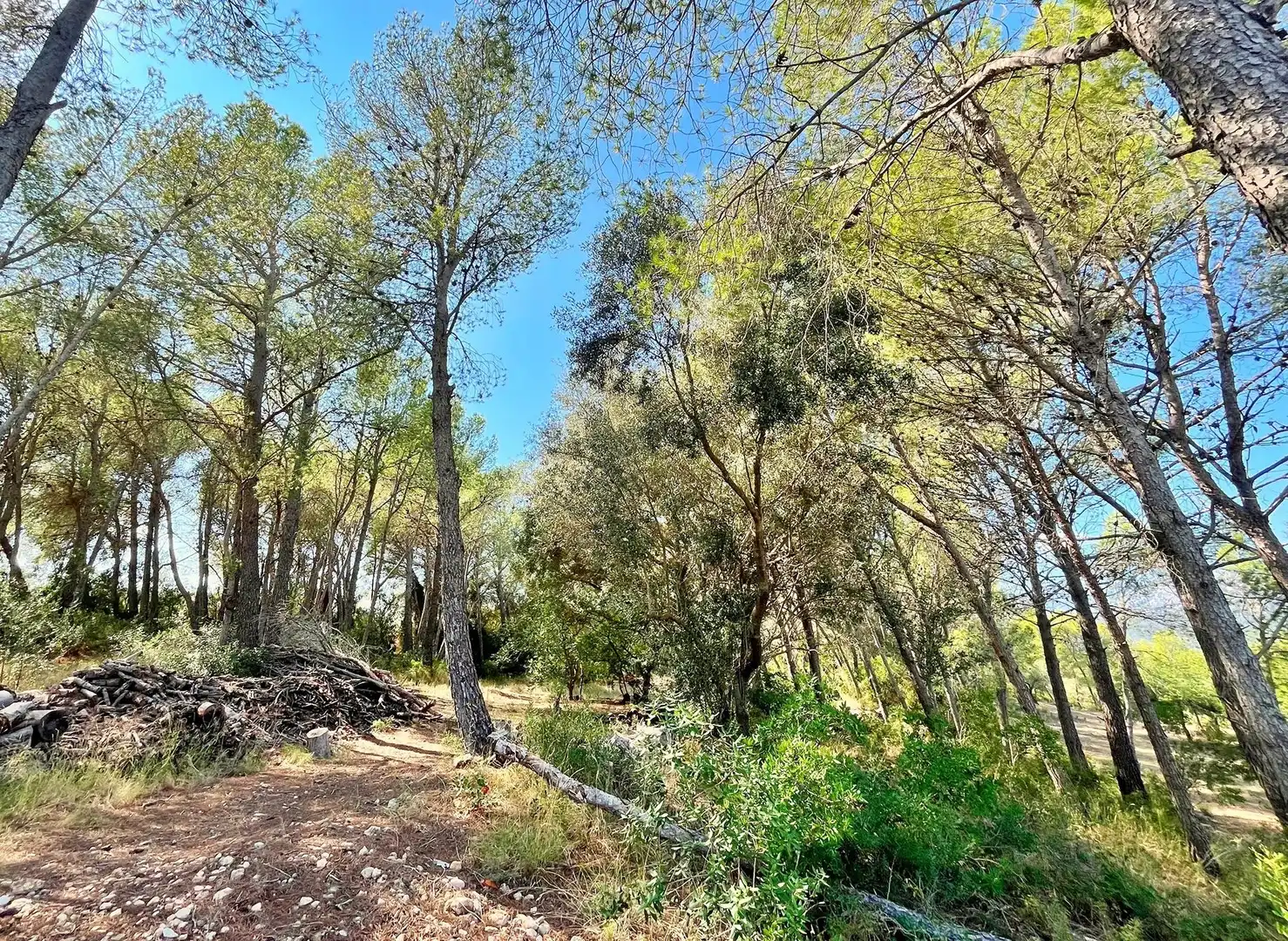 Houses for sale in Aldover