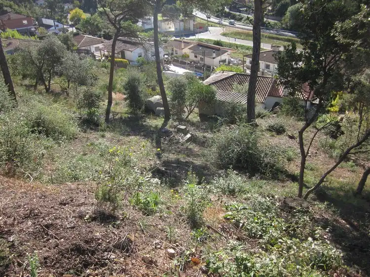 Terreno rústico en venta en Terrafortuna - Puig Ventós, imagen 10