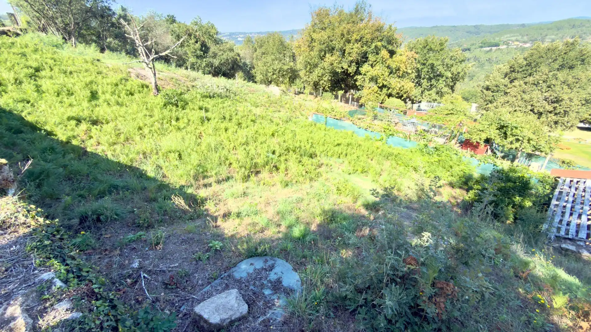 Casa rústica amb jardí en venda a O Pereiro de Aguiar, imagen 5