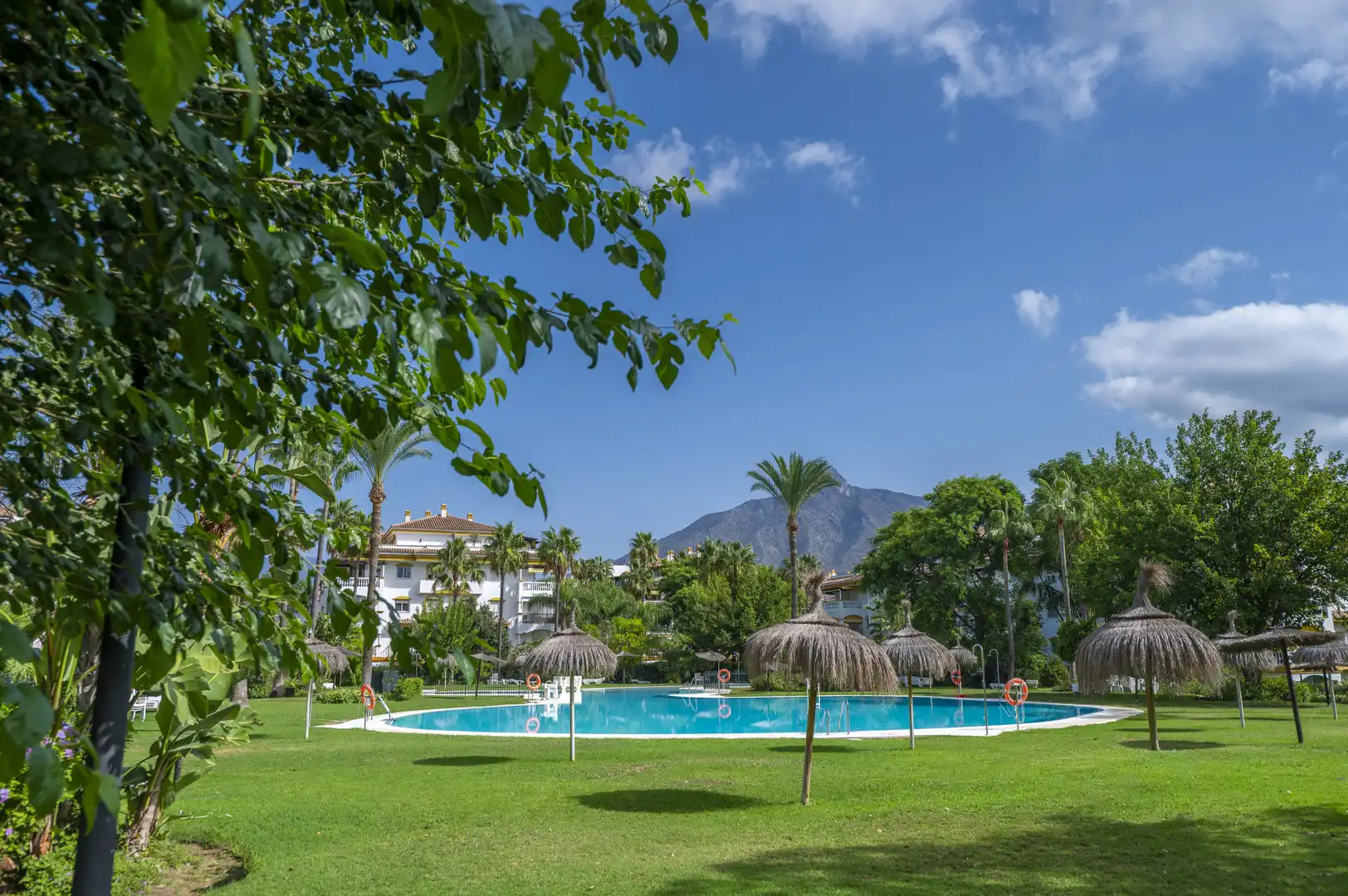 Garden of Apartments for rent in Marbella  with Terrace, Swimming Pool and Community pool