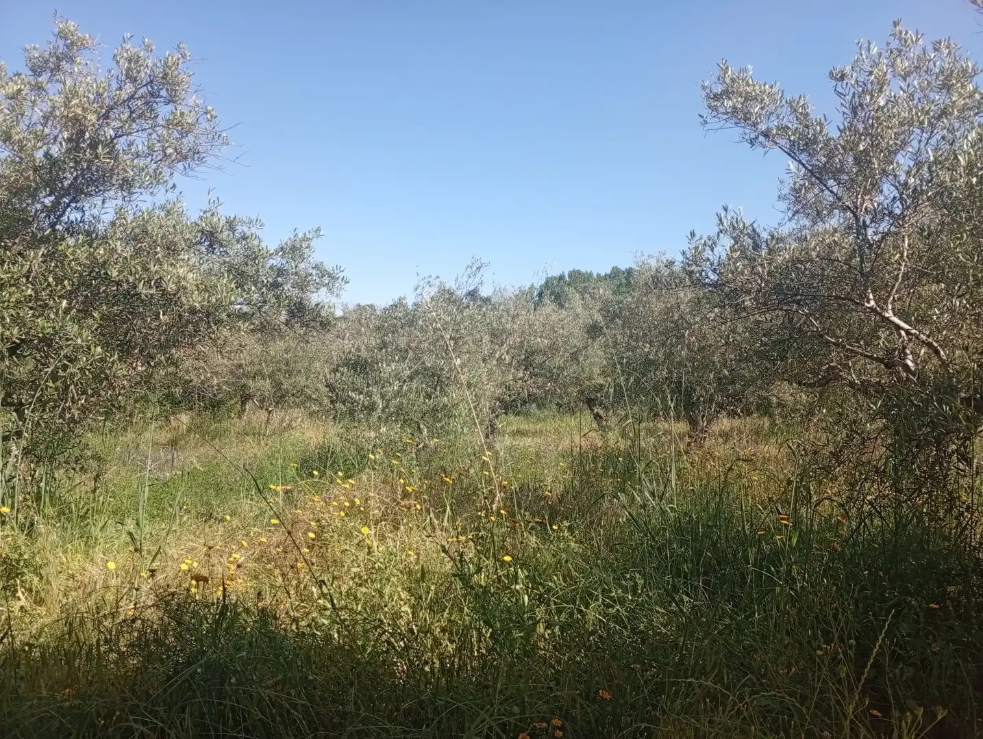 Maison à vendre à Villanueva de la Vera, imagen 91