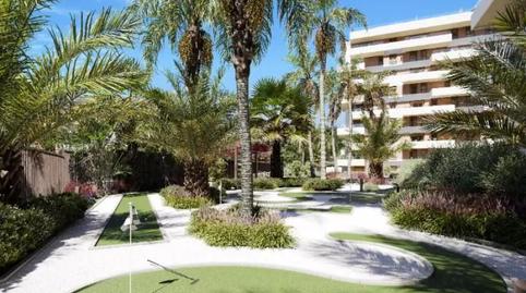 Foto 3 de Planta baja en venta en Platja de Torres, Alicante