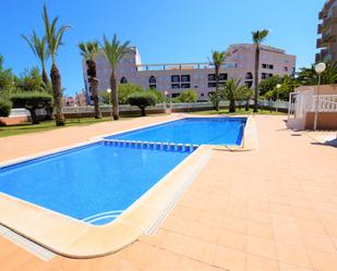 Swimming pool of Flat for sale in Guardamar del Segura  with Swimming Pool