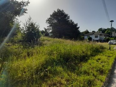 Lands and plots for sale in CA LA GUAPA