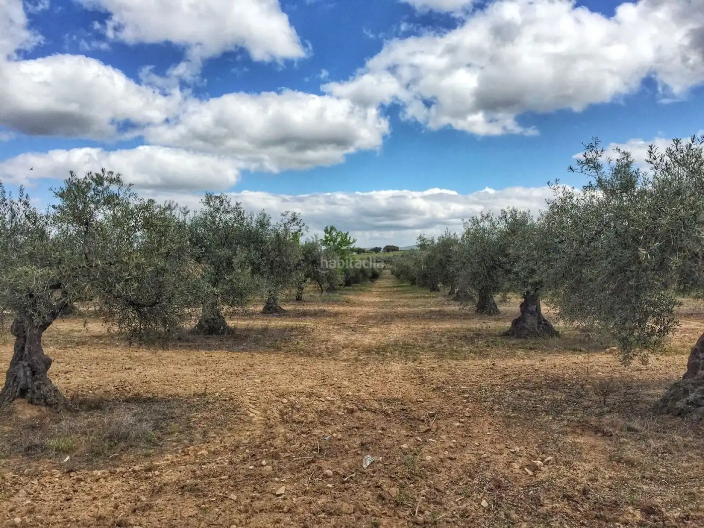 Terrains et parcelles à vendre à Calle Julio Romero de Torres 14, imagen 10