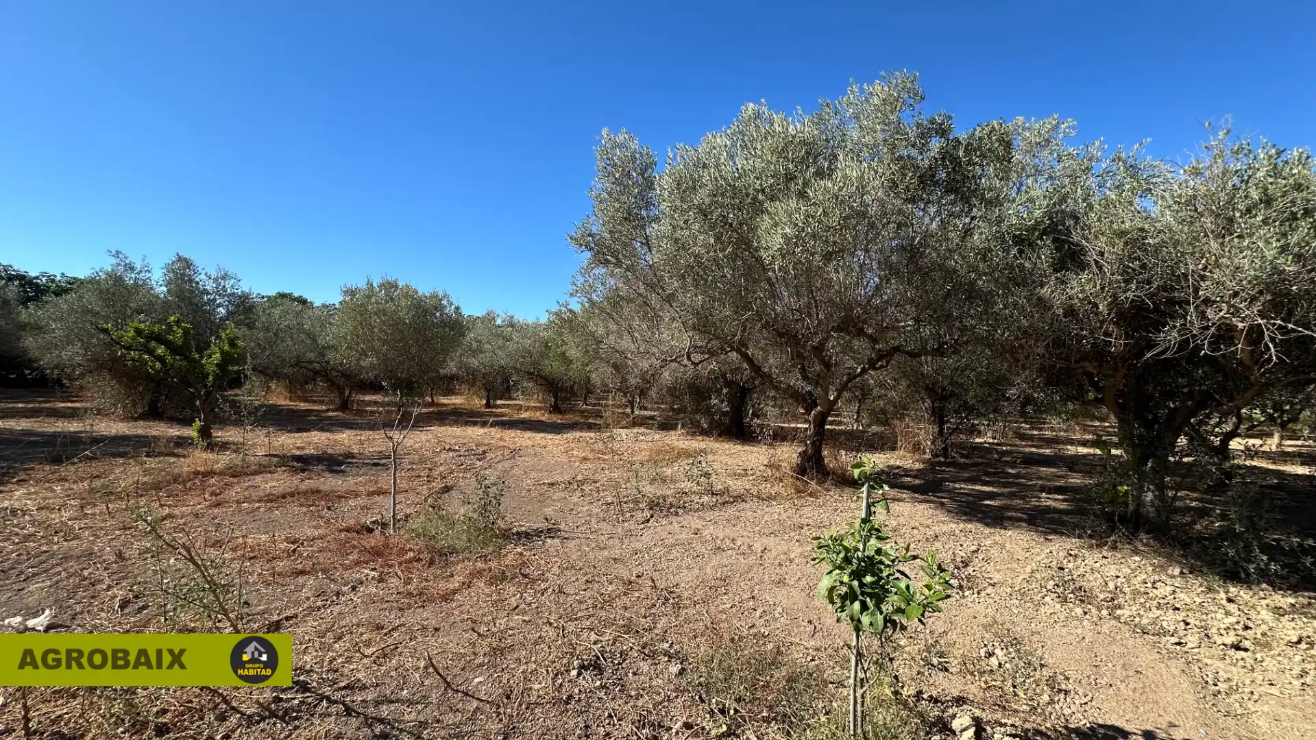 Rural land for sale in BV-2002 114, imagen 24