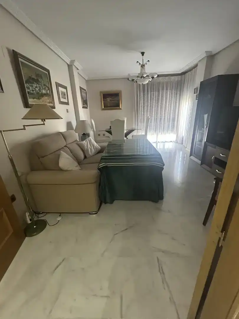 Sala d'estar de Pis en venda en Jaén amb Aire condicionat i Moblat