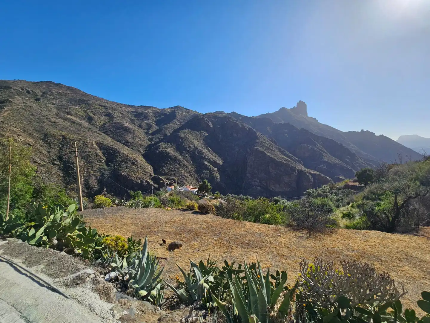 Vista exterior de Finca rústica en venta en Tejeda