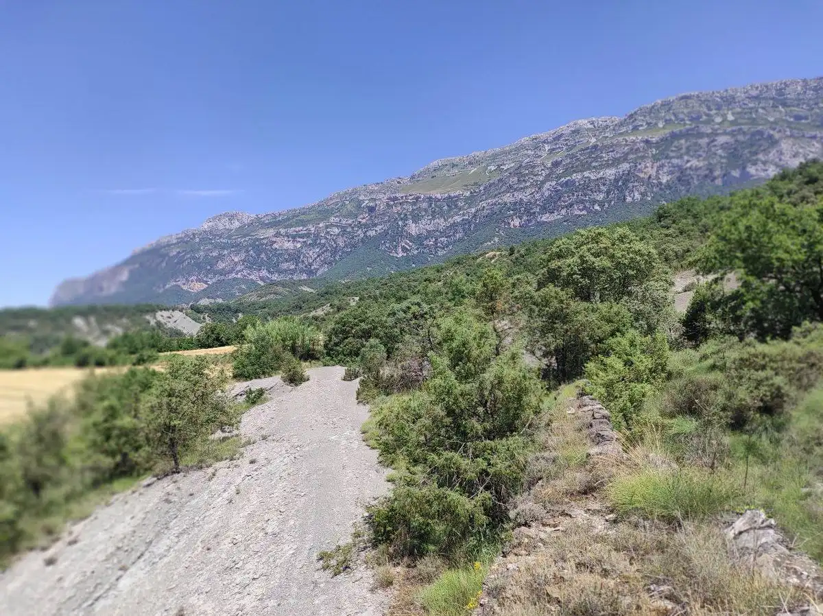 Exterior view of Country homes for sale in Foradada del Toscar