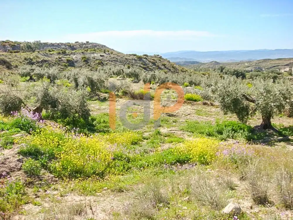 Terrain rustique à vendre à Huércal-Overa, imagen 2