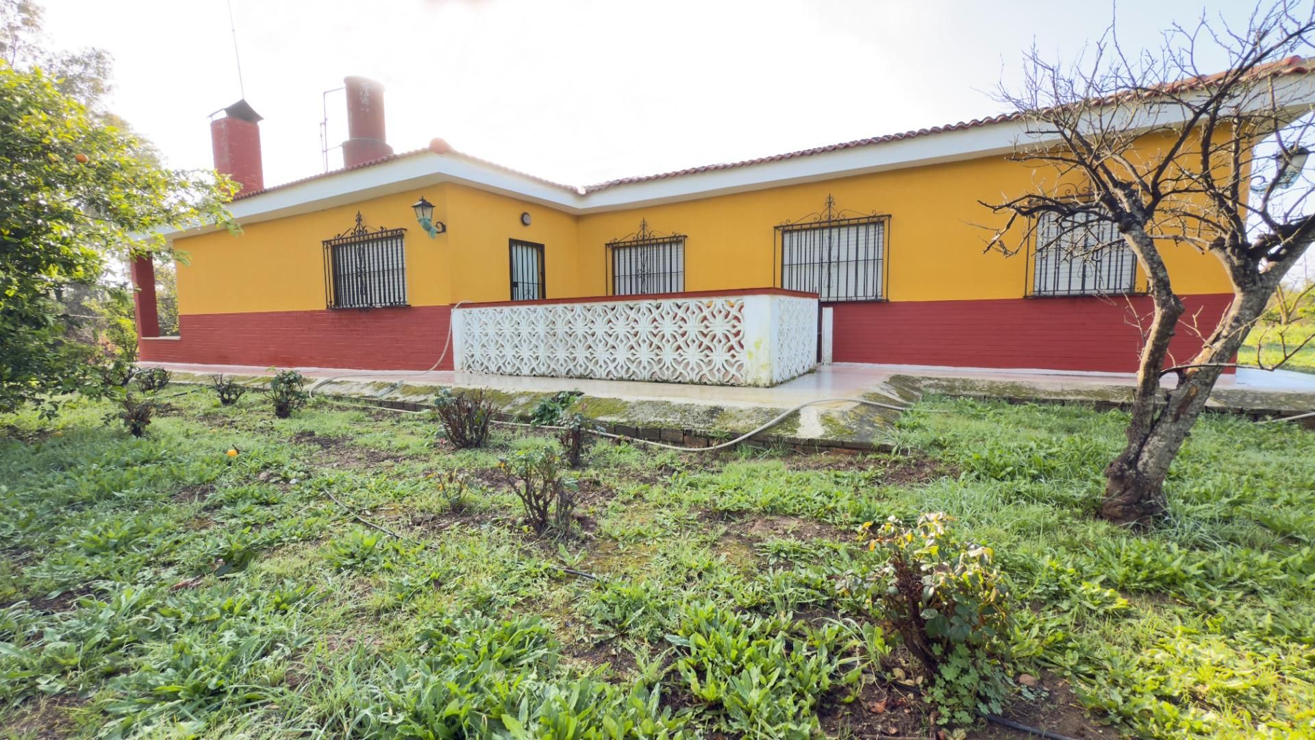 Vista exterior de Finca rústica en venda en Gibraleón amb Aire condicionat, Jardí privat i Traster