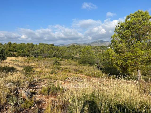 Terreno residencial en Venta en Urbanizacion Urbanizacion Los Visos, 8 en Cheste