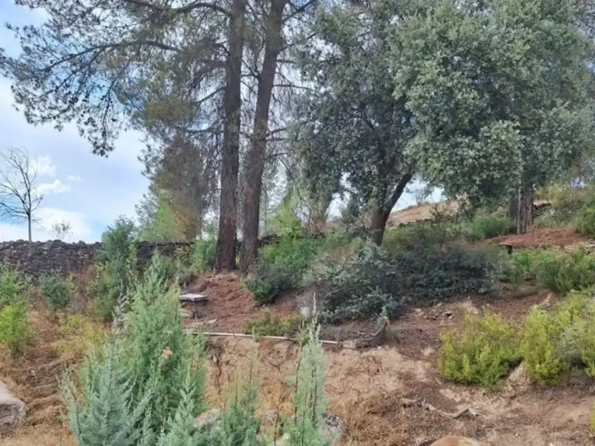 Land for sale in Villaconejos de Trabaque
