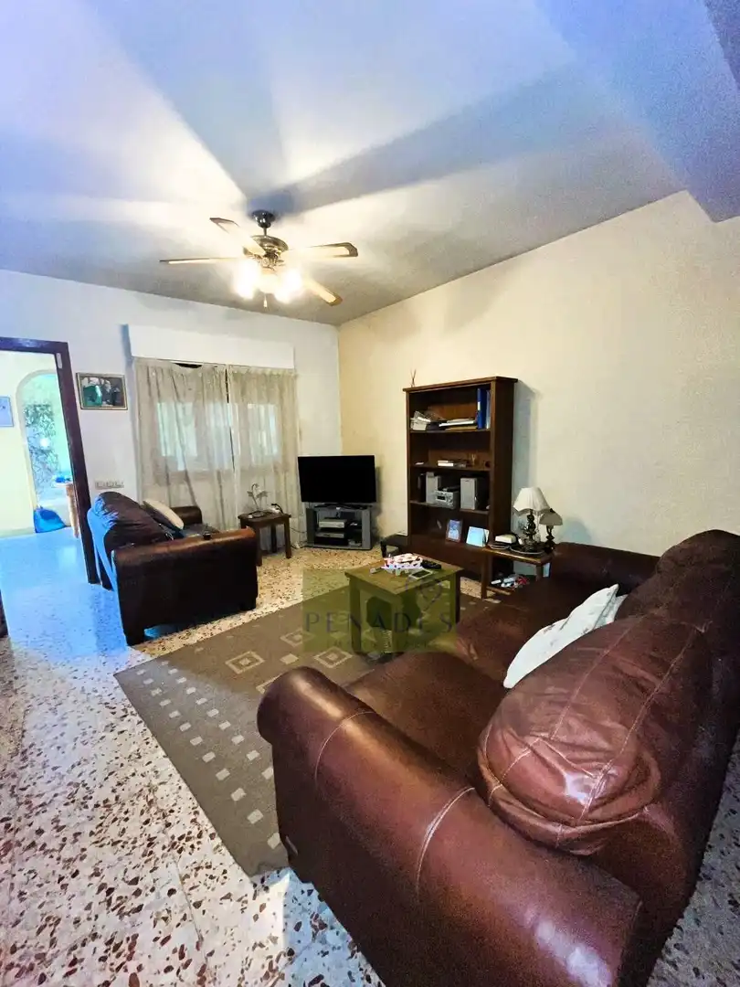 Sala de estar de Casa o chalet en venta en El Pilar 
